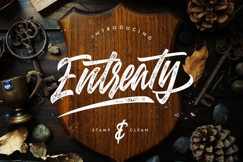 Entreaty Handlettering Script Font Creatype Studio 