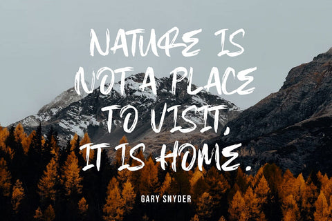 EPICAL GLORY - Textured Brush Font Font StringLabs 