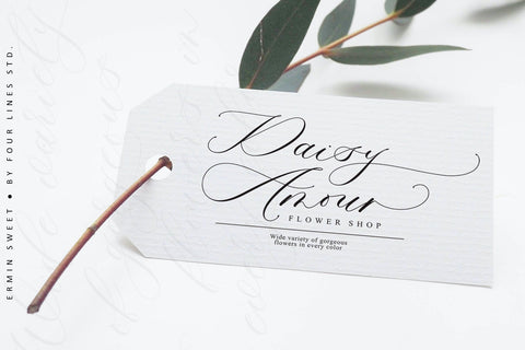 Ermin Sweet Font Four Lines Std. 