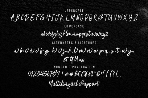Estebak Brush Font Font Megatype 