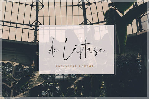 Estelly Stylish Signature Font Creatype Studio 