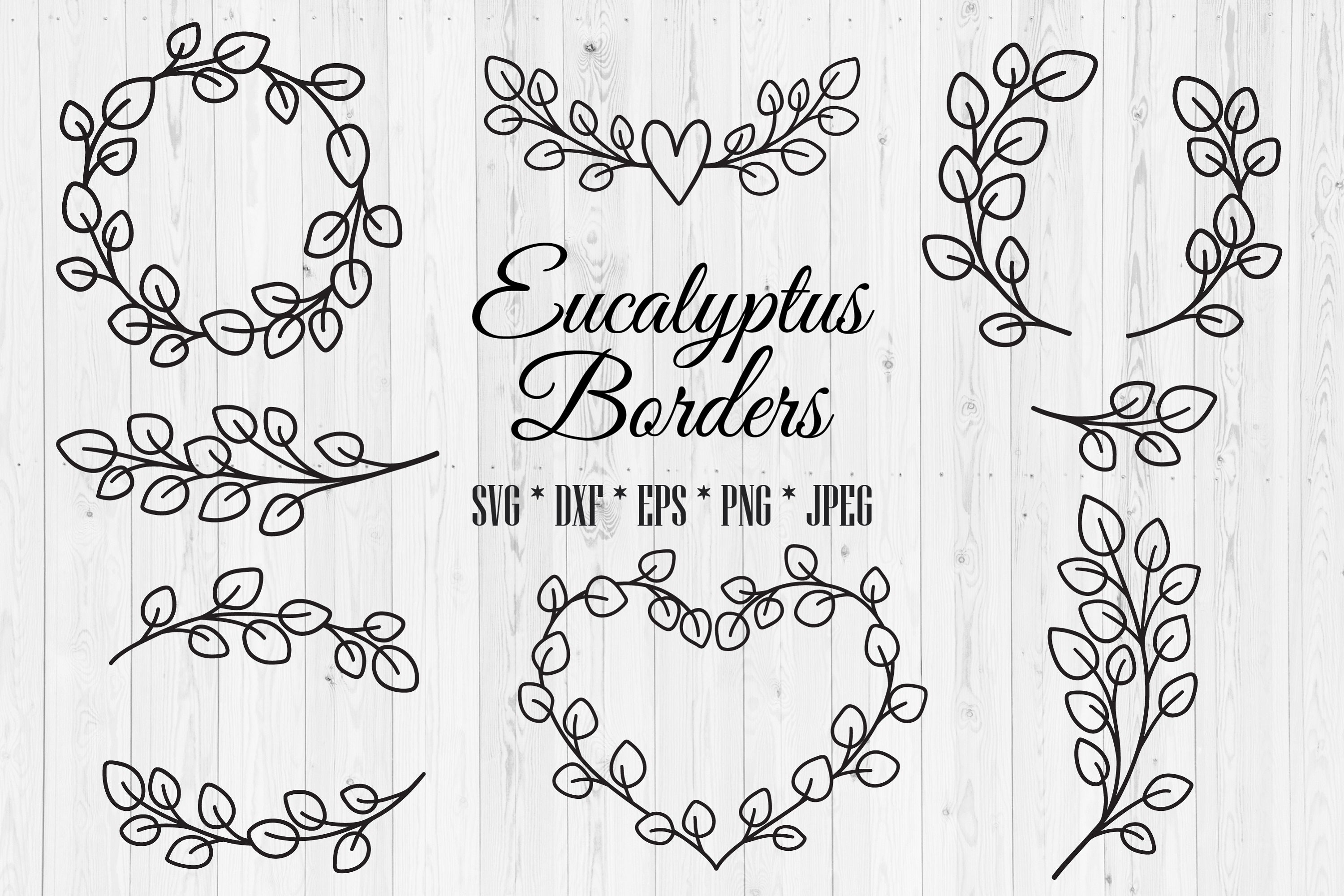 Eucalyptus Branches. Eucalyptus Svg. Svg. Branches SVG. -  Israel