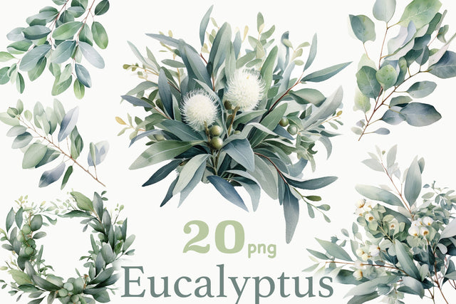 Eucalyptus Clipart Bundle | Greenery PNG SVG GlamArtZhanna 