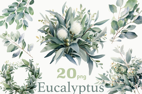 Eucalyptus Clipart Bundle | Greenery PNG SVG GlamArtZhanna 