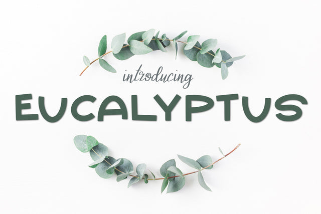 Eucalyptus Font Kitaleigh 