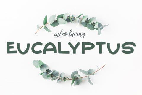 Eucalyptus Font Kitaleigh 