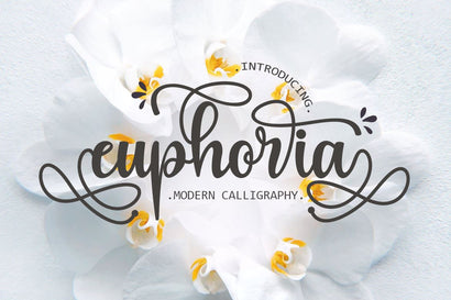 Euphoria Font Supersemar Letter 