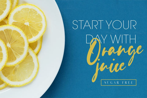 Evangeline Modern Script Font Creatype Studio 