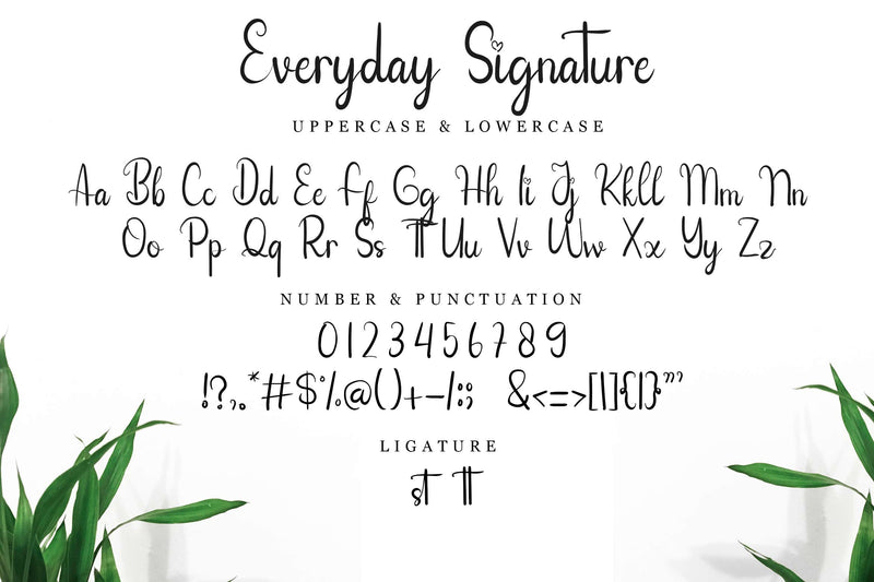 Everyday Signature - So Fontsy