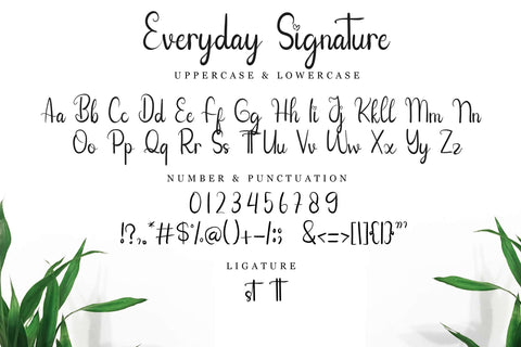 Everyday Signature Font LetterdayStudio 