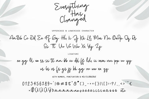 Everything Has Changed Font Stefani Letter 