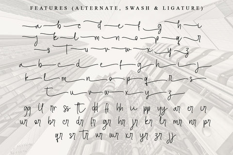 Executive Boss SVG Letterara 