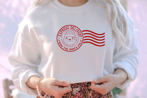 Express delivery from the north pole SVG SVG DESIGNISTIC 