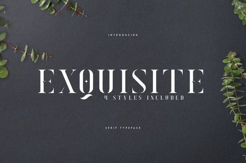 Exquisite - Serif Typeface|4 Styles Font VPcreativeshop 