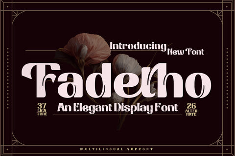 Fadetho | Display Font Font twinletter 