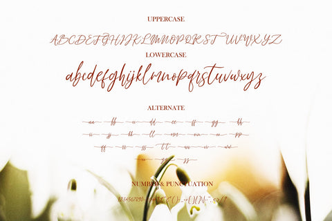 Fadhillah Signature Font gatype 