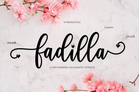 Fadilla Script Font Font Mrletters 