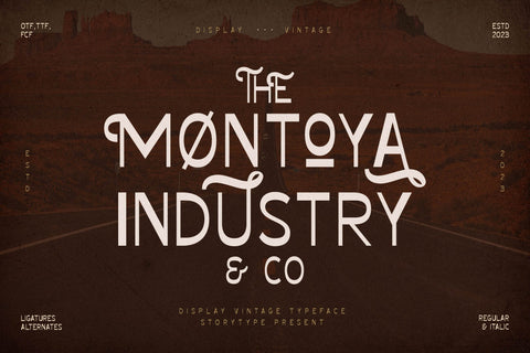 Fairly Journey Typeface Font Storytype Studio 