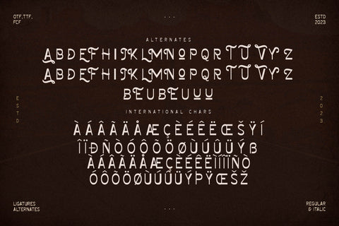 Fairly Journey Typeface Font Storytype Studio 