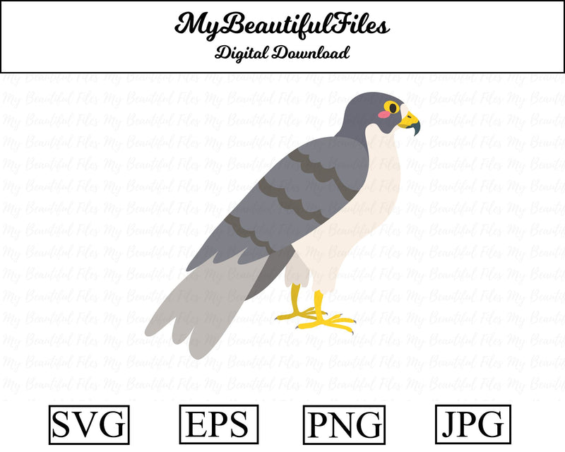 falcon - animal SVG MyBeautifulFiles 