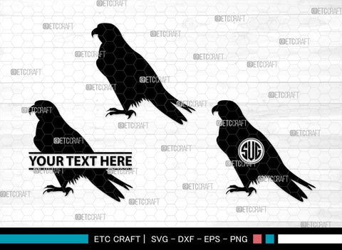 Falcon Bird Monogram, Falcon Bird Silhouette, Falcon Bird SVG, Bird Svg, Falcon Svg, Predator Bird Svg, SB00261 SVG ETC Craft 