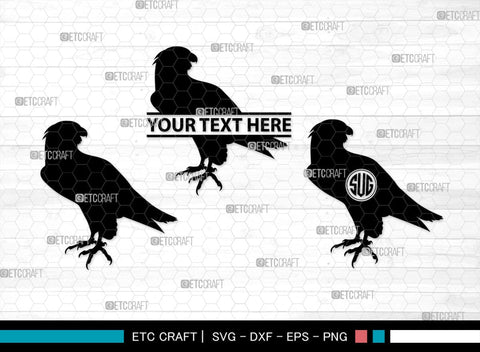 Falcon Bird Monogram, Falcon Bird Silhouette, Falcon Bird SVG, Bird Svg, Falcon Svg, Predator Bird Svg, SB00261 SVG ETC Craft 