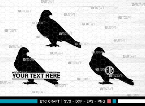 Falcon Bird Monogram, Falcon Bird Silhouette, Falcon Bird SVG, Bird Svg, Falcon Svg, Predator Bird Svg, SB00261 SVG ETC Craft 