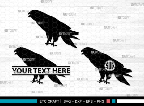 Falcon Bird Monogram, Falcon Bird Silhouette, Falcon Bird SVG, Bird Svg, Falcon Svg, Predator Bird Svg, SB00261 SVG ETC Craft 