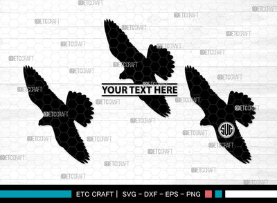 Falcon Bird Monogram, Falcon Bird Silhouette, Falcon Bird SVG, Bird Svg, Falcon Svg, Predator Bird Svg, SB00261 SVG ETC Craft 