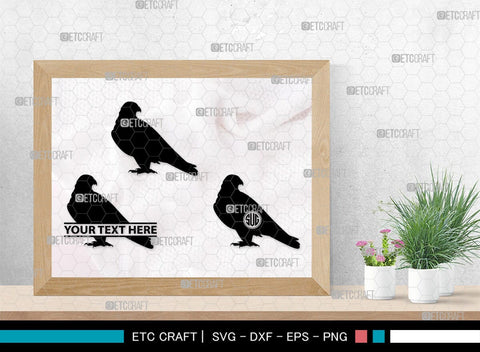 Falcon Bird Monogram, Falcon Bird Silhouette, Falcon Bird SVG, Bird Svg, Falcon Svg, Predator Bird Svg, SB00261 SVG ETC Craft 