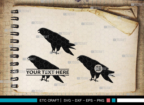 Falcon Bird Monogram, Falcon Bird Silhouette, Falcon Bird SVG, Bird Svg, Falcon Svg, Predator Bird Svg, SB00261 SVG ETC Craft 