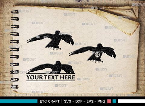 Falcon Bird Monogram, Falcon Bird Silhouette, Falcon Bird SVG, Bird Svg, Falcon Svg, Predator Bird Svg, SB00261 SVG ETC Craft 