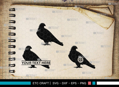 Falcon Bird Monogram, Falcon Bird Silhouette, Falcon Bird SVG, Bird Svg, Falcon Svg, Predator Bird Svg, SB00261 SVG ETC Craft 
