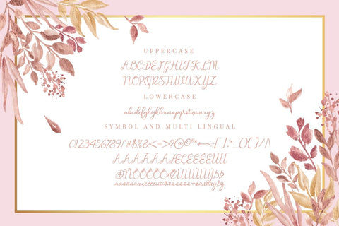 Faletina Modern Script Font Font toni_std 