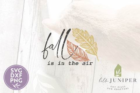 Fall is in the Air SVG | Fall Sign SVG SVG LilleJuniper 