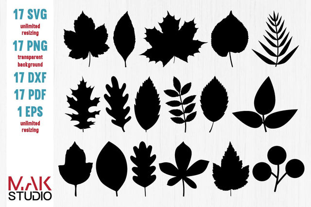 Fall leaf bundle svg files - Fall leaf svg bundle - Fall leaves svg - Autumn leaves svg - Fall leaf cut files SVG MAKStudion 
