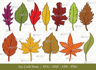 Fall Leaf Clipart SVG Cut Files | Fall Leaves Clipart | Autumn Leaf Bundle | Vector Cutting files | Thanksgiving SVG | Eps | Dxf | Png | SVG ETC Craft 