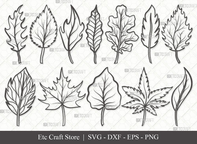 Fall Leaf Outline SVG Cut Files | Fall Leaves Bundle | Autumn Leaf Outline | Vector Cutting files | Thanksgiving SVG | Eps | Dxf | Png | SVG ETC Craft 