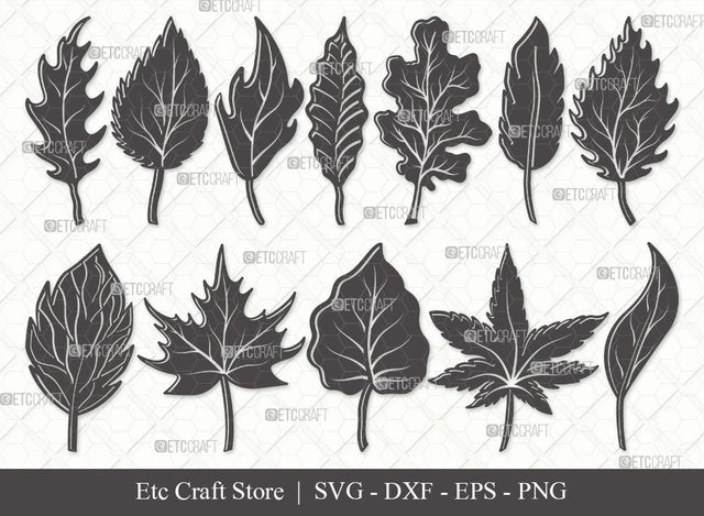 Fall Leaf Silhouette SVG Cut Files | Fall Leaves Bundle | Autumn Leaf Outline | Vector Cutting files | Thanksgiving SVG | Eps | Dxf | Png | SVG ETC Craft 
