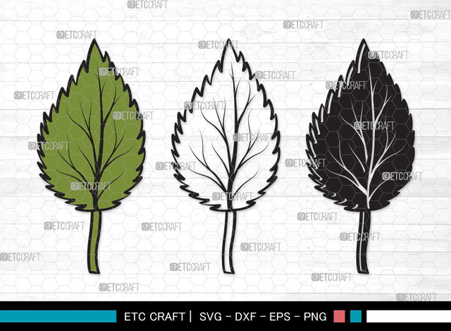 Fall Leaf SVG | Fall Leaves Svg | Autumn Leaf Svg | Thanksgiving SVG | Fall Leaf Clipart SVG ETC Craft 