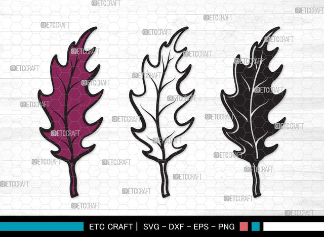 Fall Leaf SVG | Fall Leaves Svg | Autumn Leaf Svg | Thanksgiving SVG | Fall Leaf Clipart SVG ETC Craft 