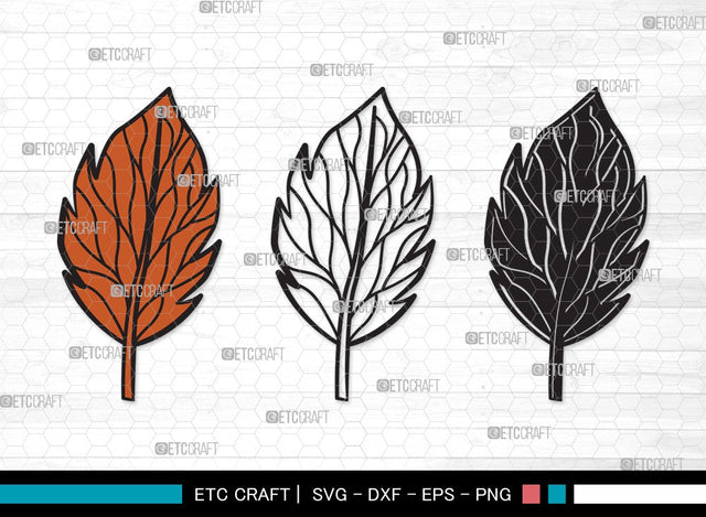 Fall Leaf SVG | Fall Leaves Svg | Autumn Leaf Svg | Thanksgiving SVG | Fall Leaf Clipart SVG ETC Craft 