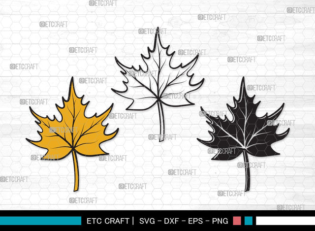 Fall Leaf SVG | Fall Leaves Svg | Autumn Leaf Svg | Thanksgiving SVG | Fall Leaf Clipart SVG ETC Craft 
