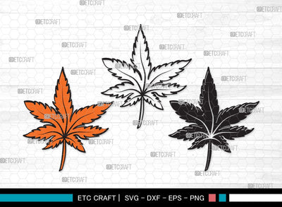 Fall Leaf SVG | Fall Leaves Svg | Autumn Leaf Svg | Thanksgiving SVG | Fall Leaf Clipart SVG ETC Craft 