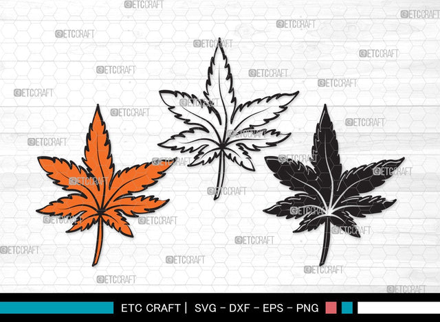 Fall Leaf SVG | Fall Leaves Svg | Autumn Leaf Svg | Thanksgiving SVG | Fall Leaf Clipart SVG ETC Craft 