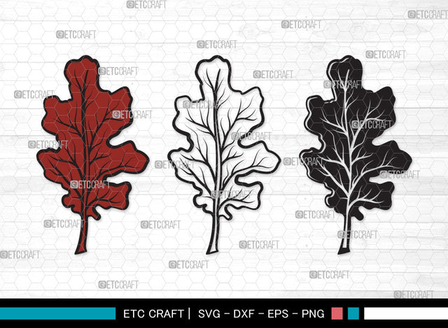 Fall Leaf SVG | Fall Leaves Svg | Autumn Leaf Svg | Thanksgiving SVG | Fall Leaf Clipart SVG ETC Craft 