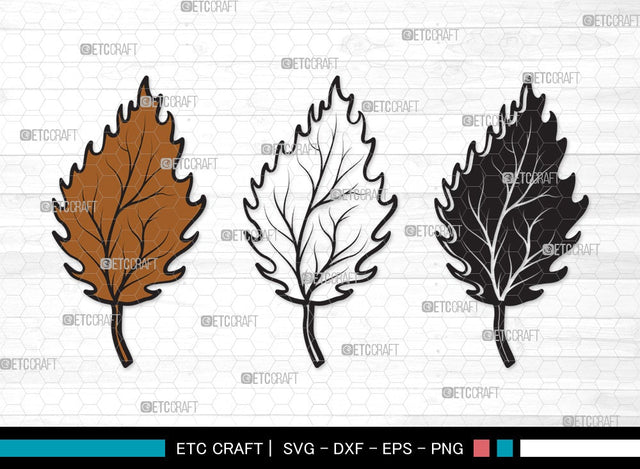 Fall Leaf SVG | Fall Leaves Svg | Autumn Leaf Svg | Thanksgiving SVG | Fall Leaf Clipart SVG ETC Craft 