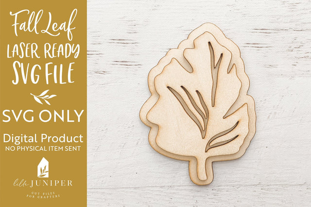 Fall Leaf SVG | Laser Ready SVG | Fall SVG SVG LilleJuniper 