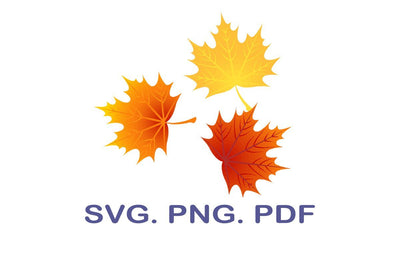 Fall Leaves SVG, Autumn leafs, thanksgiving SVG, Leafs Cut File, Autumn Cricut Design, Silhouette studio, Sure A Lot SVG MagicDesignUS 