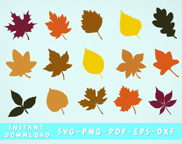 Fall Leaves SVG Bundle, Maple Leaf SVG, Oak Leaf SVG, Aspen Leaf SVG SVG HappyDesignStudio 
